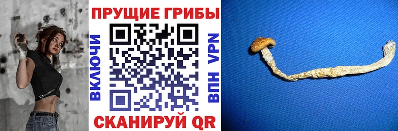 Псилоцибиновые грибы мухоморы  закладка  Усть-Илимск 