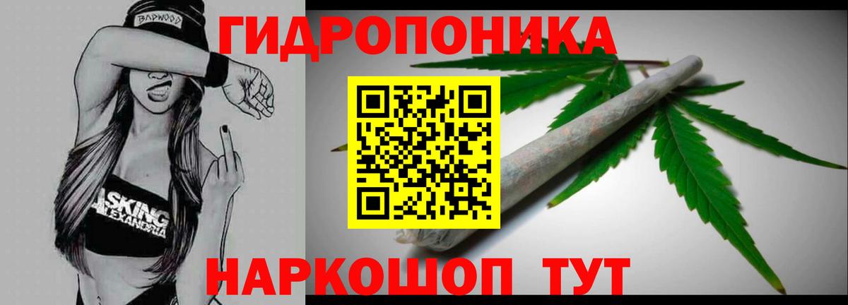 Канабис конопля  Каннабис планчик  Вход с VPN  Усть-Илимск  Шишки марихуана White Widow 